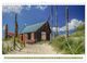 Thumbnail-11