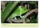 Thumbnail-14