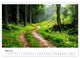 Thumbnail-8