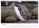 Thumbnail-11