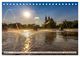 Thumbnail-12