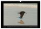 Thumbnail-11