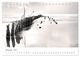 Thumbnail-14