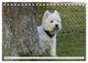 Thumbnail-12