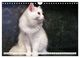 Thumbnail-14