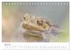 Thumbnail-9