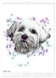 Thumbnail-9