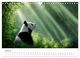 Thumbnail-9