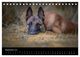 Thumbnail-14