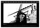 Thumbnail-10