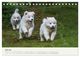 Thumbnail-12