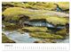 Thumbnail-11