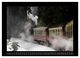 Thumbnail-13