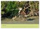 Thumbnail-10