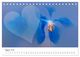 Thumbnail-10