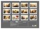 Thumbnail-8
