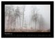 Thumbnail-13