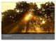 Thumbnail-14