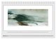Thumbnail-12