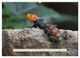 Thumbnail-12
