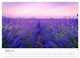 Thumbnail-12