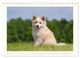 Thumbnail-14