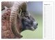 Thumbnail-9