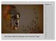 Thumbnail-11