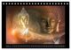 Thumbnail-12