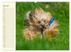 Thumbnail-11
