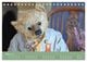 Thumbnail-8