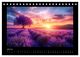 Thumbnail-9