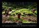 Thumbnail-12