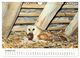 Thumbnail-12