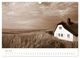Thumbnail-10
