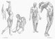 Thumbnail-4