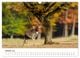 Thumbnail-12