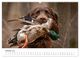Thumbnail-12