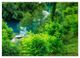 Thumbnail-8