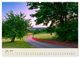 Thumbnail-11