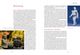 Thumbnail-12