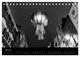 Thumbnail-12