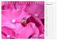Thumbnail-12