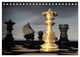 Thumbnail-14
