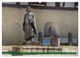 Thumbnail-12