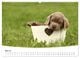 Thumbnail-9