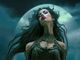 Thumbnail-4