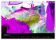 Thumbnail-12