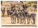 Thumbnail-12