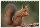 Thumbnail-14